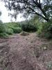 Annonce Vente Terrain Pietrosella