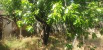 Acheter Terrain Toulon 172000 euros