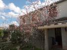 House LIMOUX 