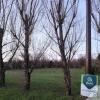 Annonce Vente Terrain Saint-junien
