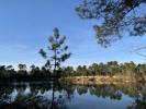 Annonce Vente Terrain Leognan