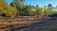 Annonce Vente Terrain Brach