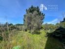 Land ARLES 