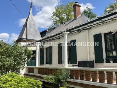 photo For sale Prestigious house SALBRIS 41