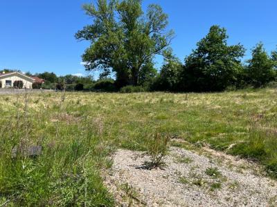 Vente Terrain PONCINS 42110