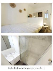 photo For rent Apartment NANTES 44