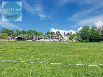 Vente Terrain CHITENAY  41