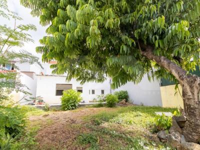 For sale House SAINT-JOSEPH 