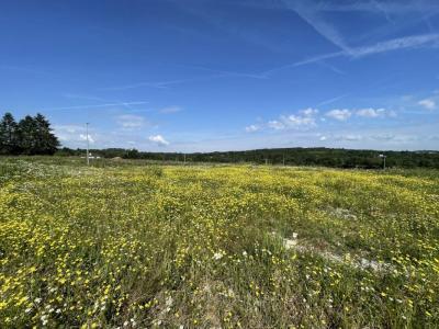 photo For sale Land FEYTIAT 87