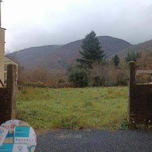 photo For sale Land ALBINE 81