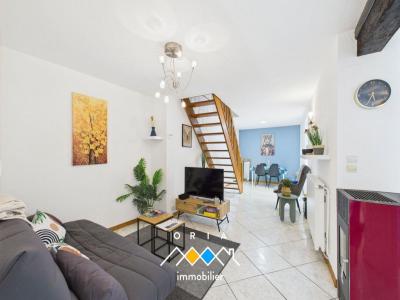 Vente Maison 4 pièces THIAUCOURT-REGNIEVILLE 54470