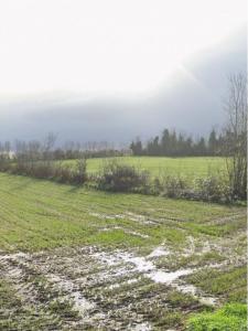 Vente Terrain AIGREFEUILLE-D'AUNIS 17290