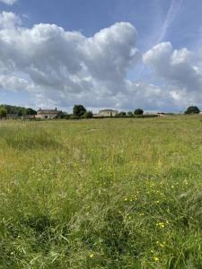 photo For sale Land TAURIAC 33