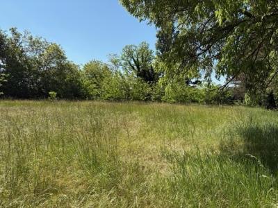 photo For sale House MONTELEGER 26