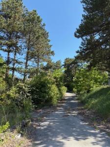 For sale House MONTELEGER 