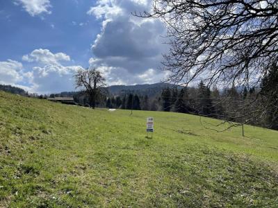 Vente Maison SALLANCHES 