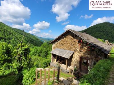 photo For sale House MASSAT 09