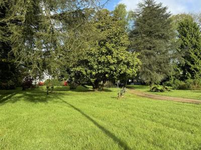 Vente Terrain PLUVIGNER 56330