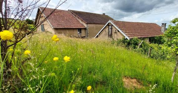 photo For sale House REMIREMONT 88