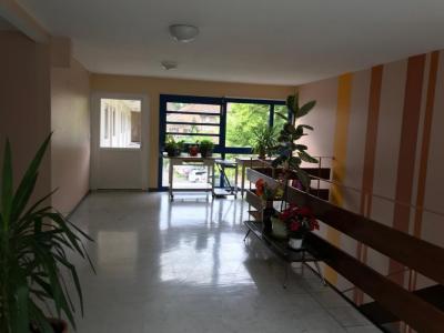 Location Appartement 2 pièces THANN 68800