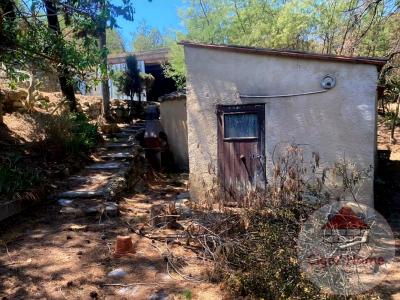Vente Maison 2 pièces FEUILLA 11510