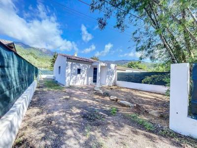 For rent House VERO 