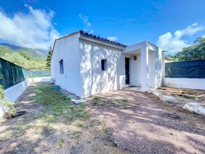 For rent House VERO 