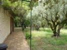 House MAZAN 