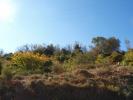 Acheter Terrain 65000 euros