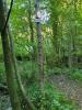 Annonce Vente Terrain Flixecourt