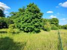 Annonce Vente Terrain Sainte-solange