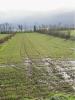Annonce Vente Terrain Aigrefeuille-d'aunis