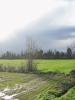 Acheter Terrain 500 m2 Aigrefeuille-d'aunis