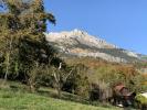Vente Maison Passy 74