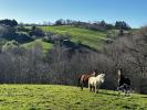 Acheter Maison Maurs 260000 euros