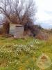 Vente Terrain Palme 11