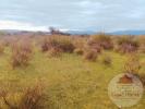 Annonce Vente Terrain Palme