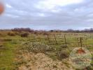 Acheter Terrain 2270 m2 Palme