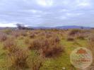 Acheter Terrain Palme 9000 euros