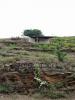 Annonce Vente Terrain Collioure