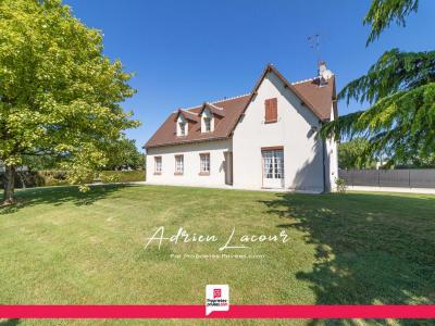 Vente Maison 7 pièces CHEMERY 41700