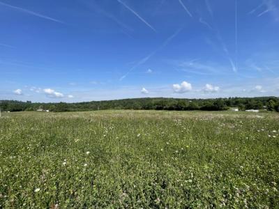 Vente Terrain FEYTIAT 87220