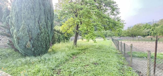 photo For sale House LOIRE-SUR-RHONE 69