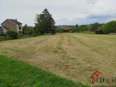 photo For sale Land CHAMPLITTE 70
