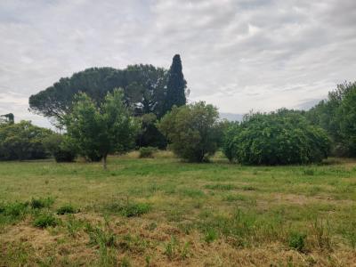 Vente Terrain MONDRAGON 84430