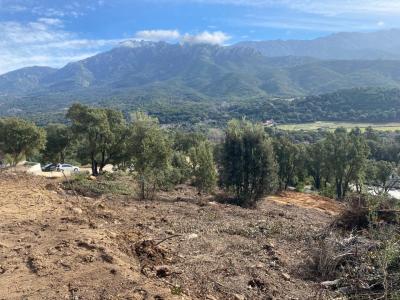 photo For sale Land TAVACO 20