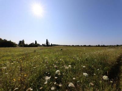 Vente Terrain CHAPELLE-SUR-AVEYRON 45230