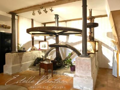 Vente Maison 16 pièces CULIN 38300