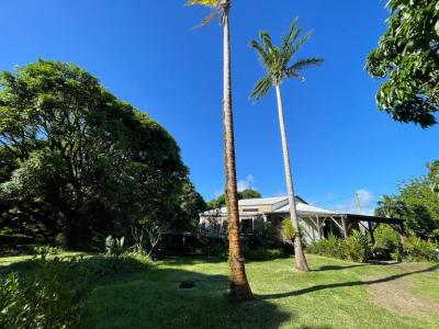 Vente Maison SAINTE-ROSE