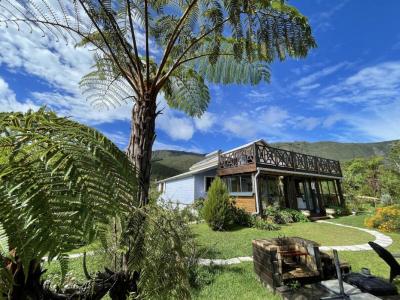 For sale House PLAINE-DES-PALMISTES 